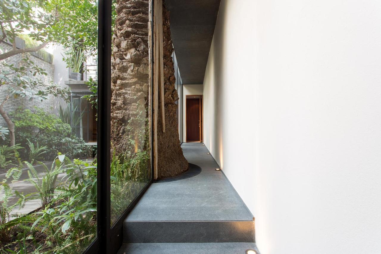 Отель Casa 9 Мехико Экстерьер фото
